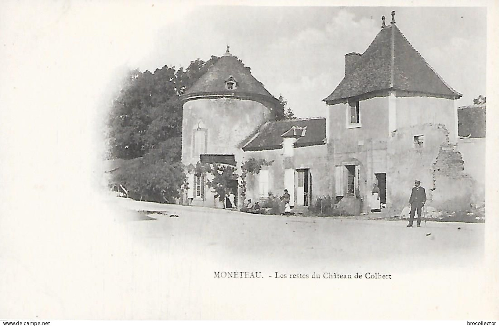 MONETEAU ( 89 ) - Les Restes Du Château De Colbert - Moneteau