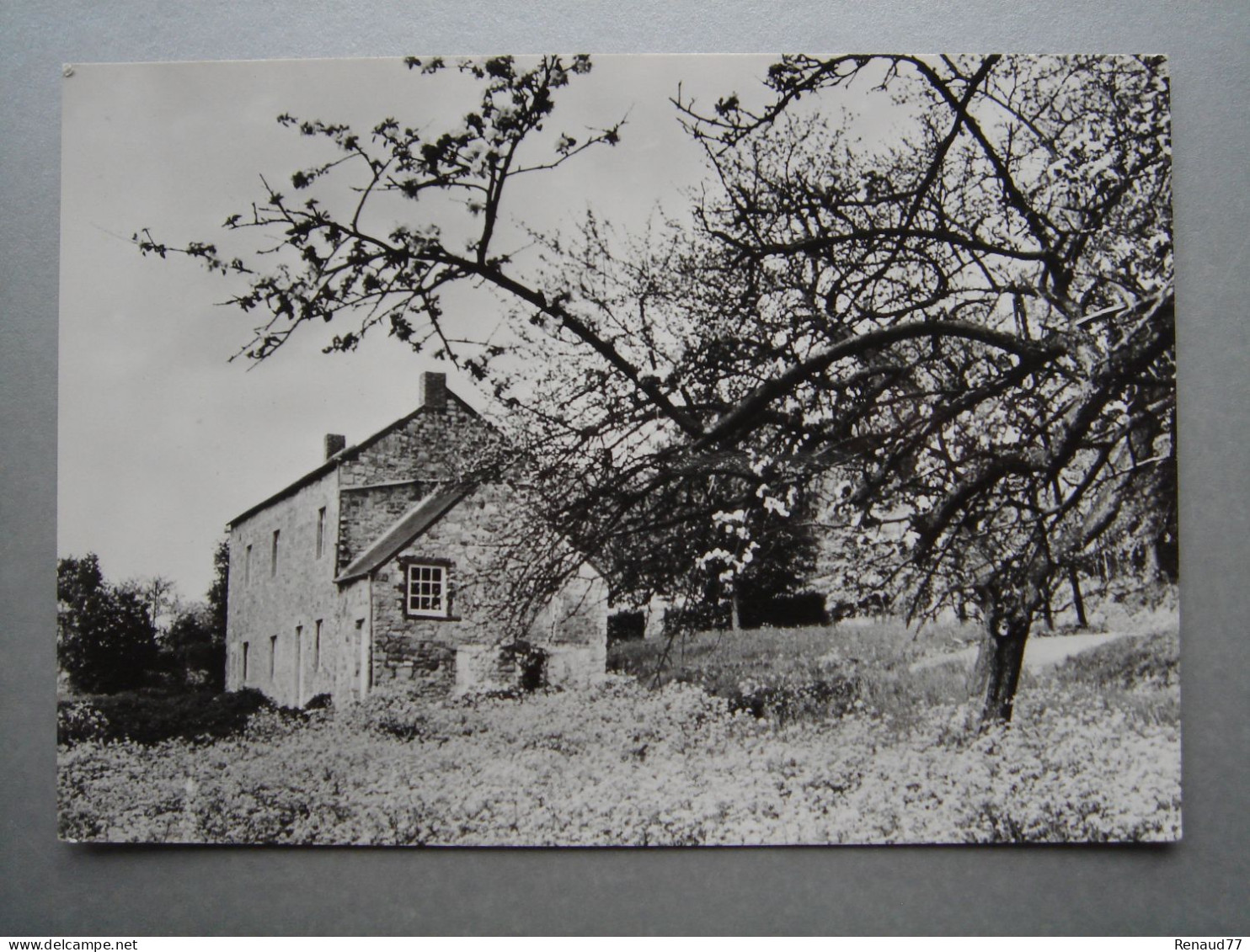 Domaine De Mozet (par Namèche) Fermette Du Castor - Gesves - Gesves