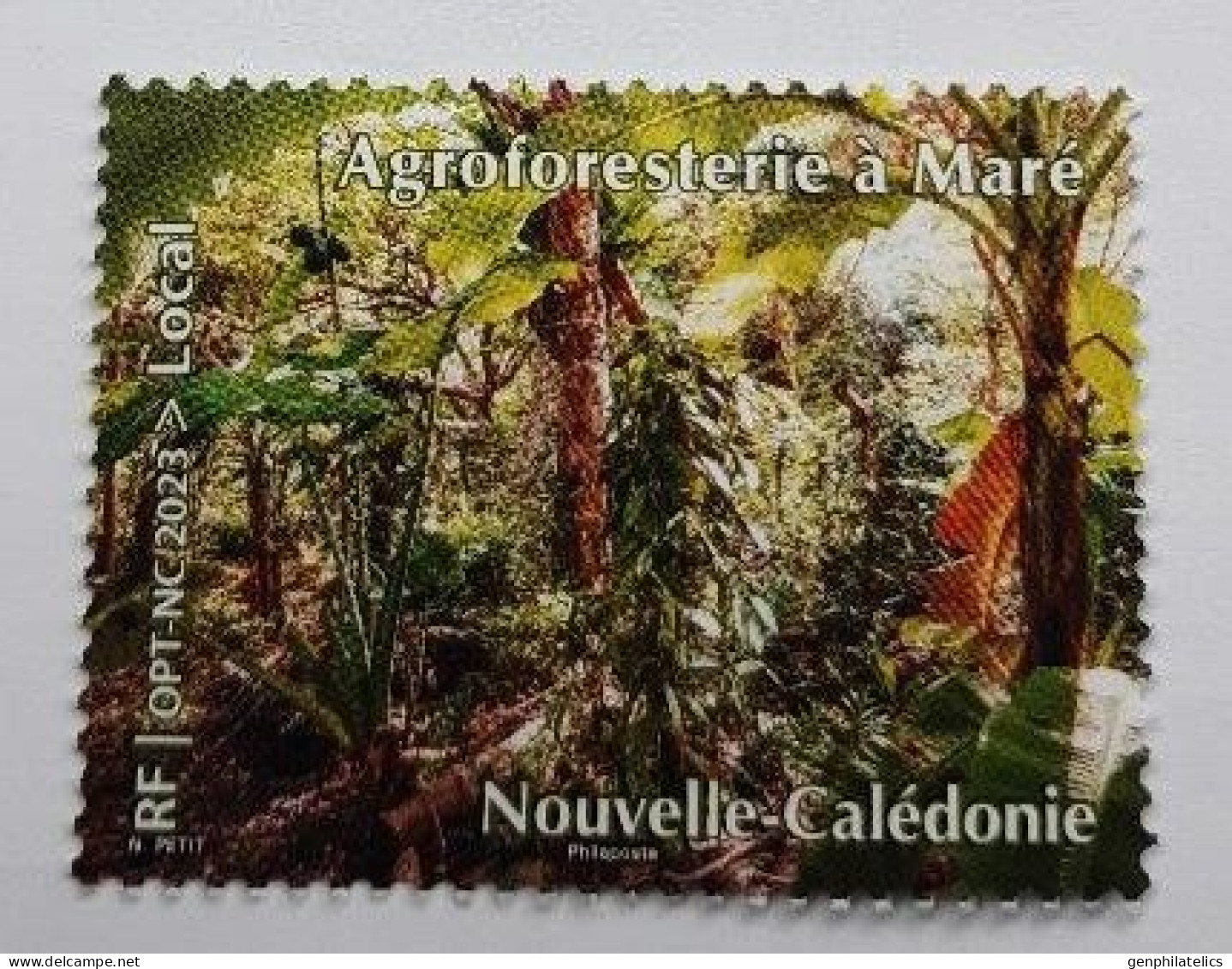 NEW CALEDONIA 2023 FLORA Plants. Trees FOREST - Fine Stamp MNH - Unused Stamps