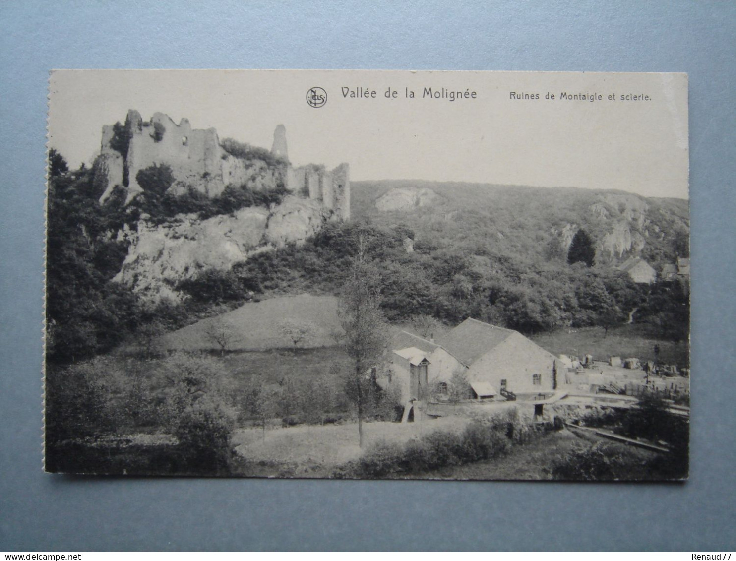 Vallée De La Molignée - Ruines De Montaigle Et Scierie - Onhaye - Onhaye