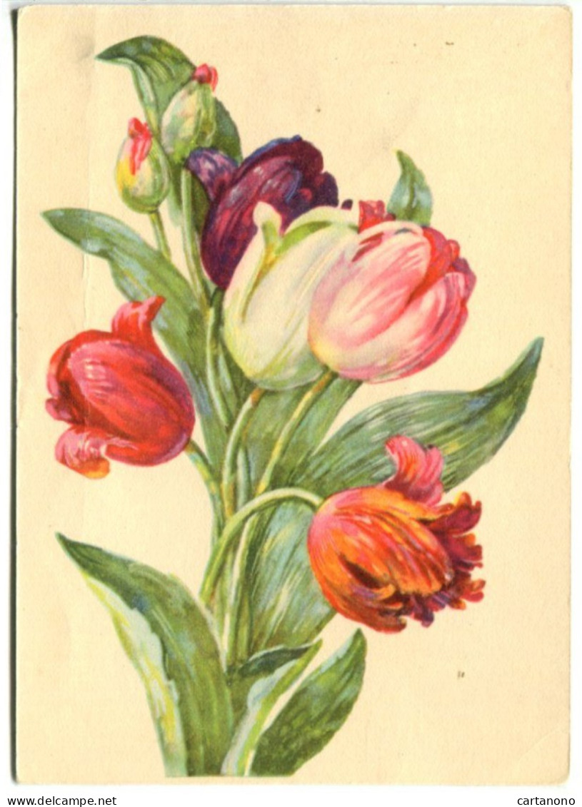 URSS - Entier Postal 1956 - Fleurs Tulipes - 1950-59