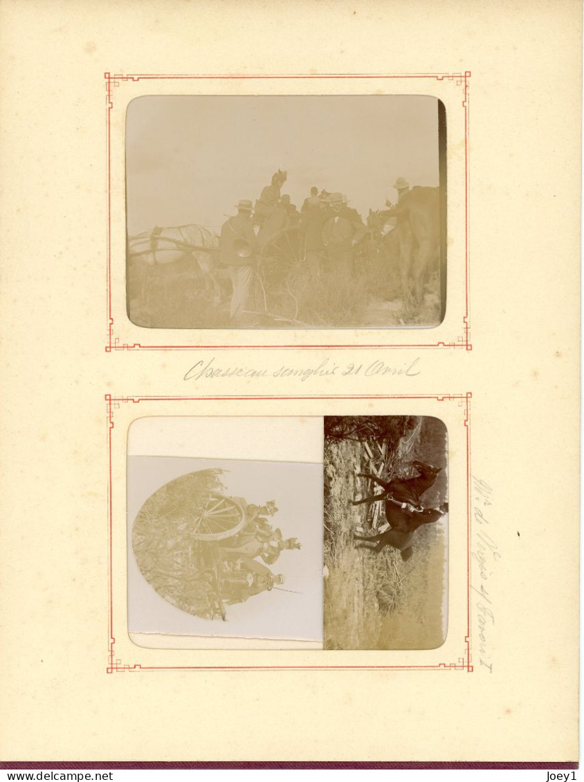 16 photos d album Arcachon 1896 chasse aux sanglier, chasse au renard, retour de la chasse en bateau