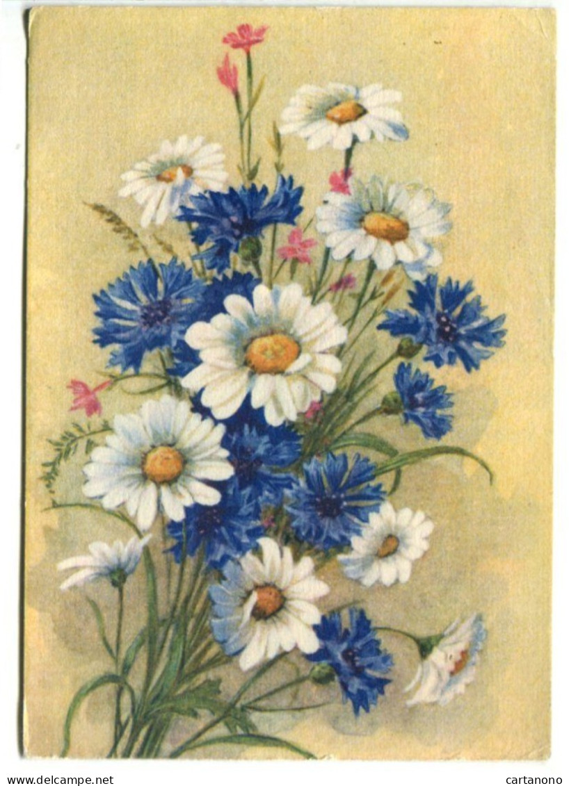 URSS - Entier Postal 1956 - Bouquet De Fleurs Bleuets Marguerites - 1950-59