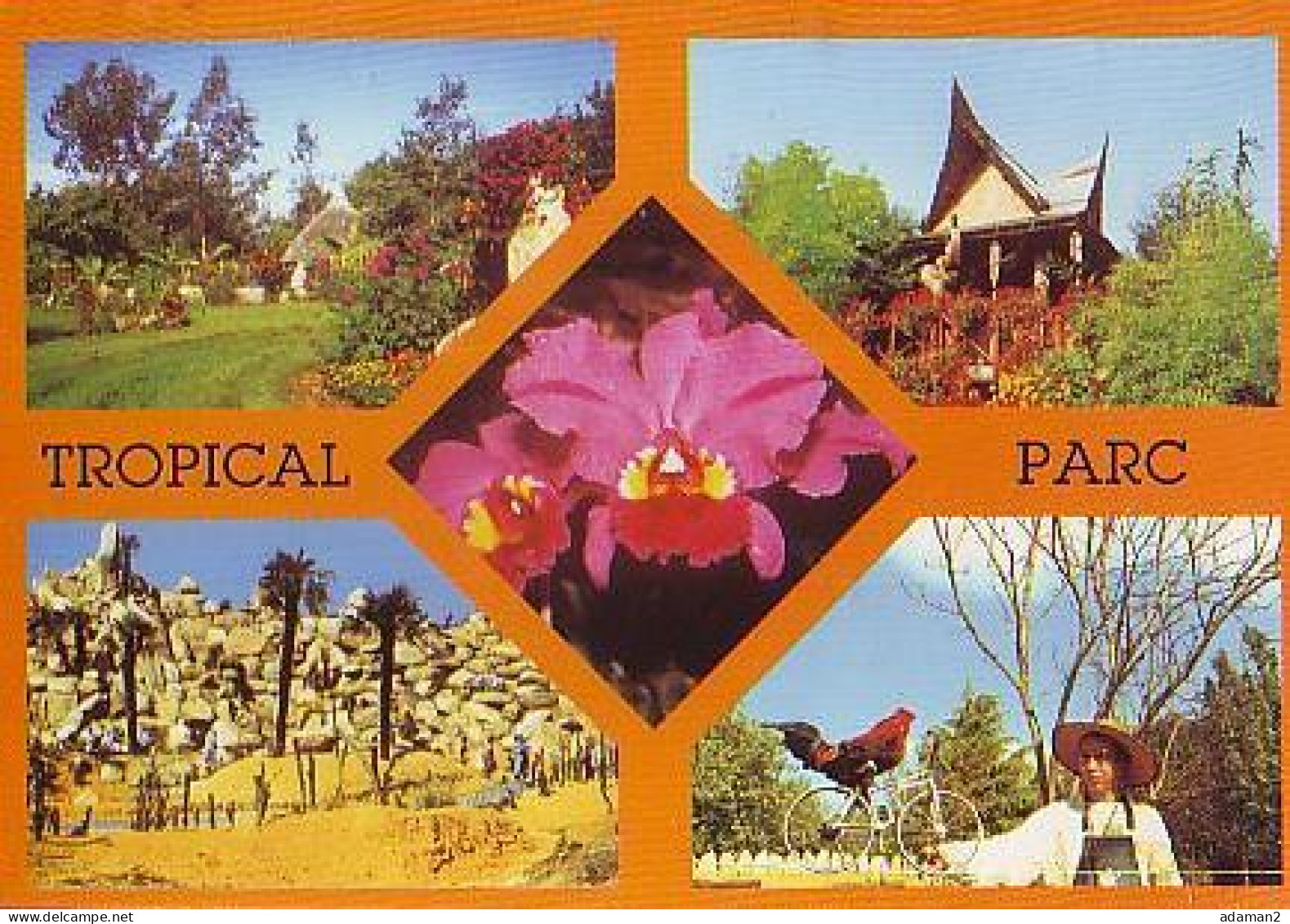 Saint Jacut Les Pins   G21        ( 5 Vues )  Tropical Parc. Laugarel - Questembert