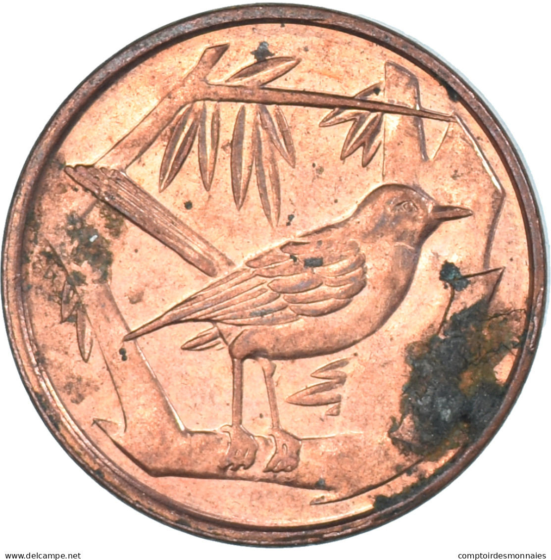 Monnaie, Îles Caïmans, Cent, 1992 - Kaaiman Eilanden