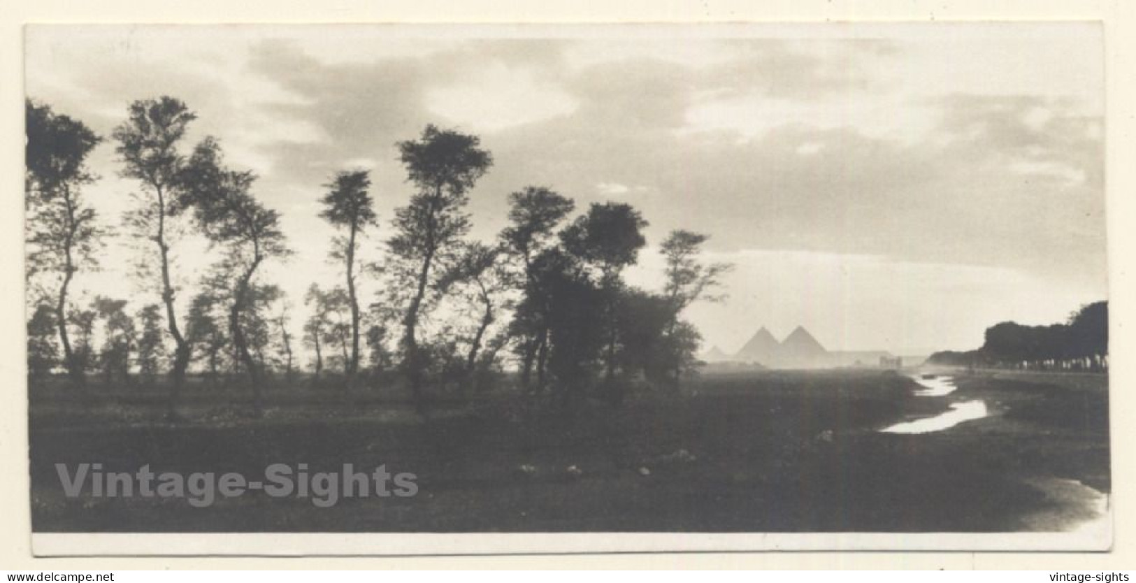 Egypt: Landscape - Pyramids - Desert (Vintage RPPC ~1910s/1920s) - Piramidi