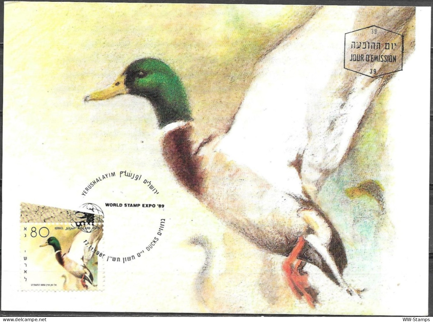 Israel 1989 Maximum Card Mallard Ducks Of Israel [ILT1641] - Storia Postale