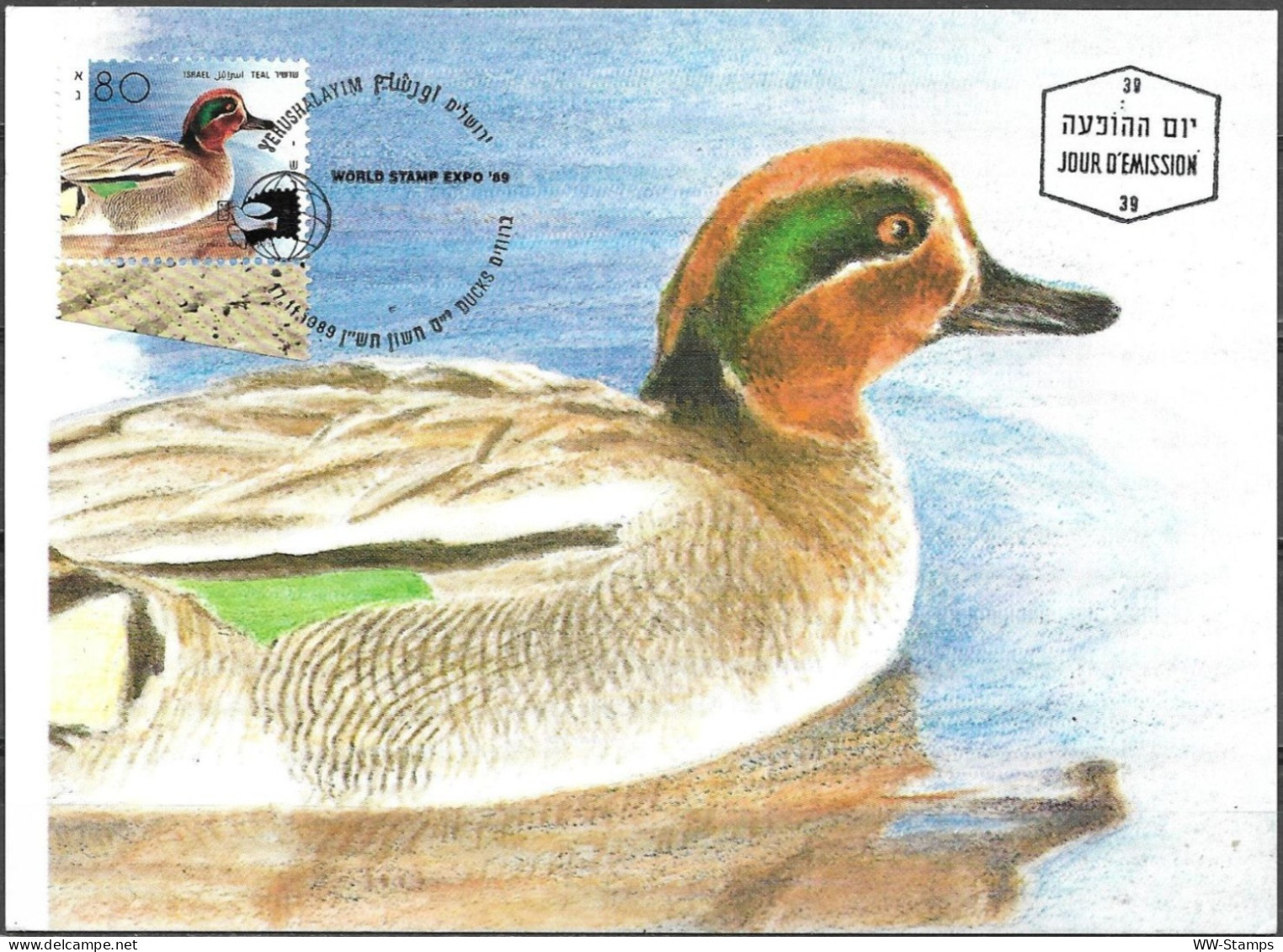 Israel 1989 Maximum Card Teal Ducks Of Israel [ILT1642] - Maximumkarten