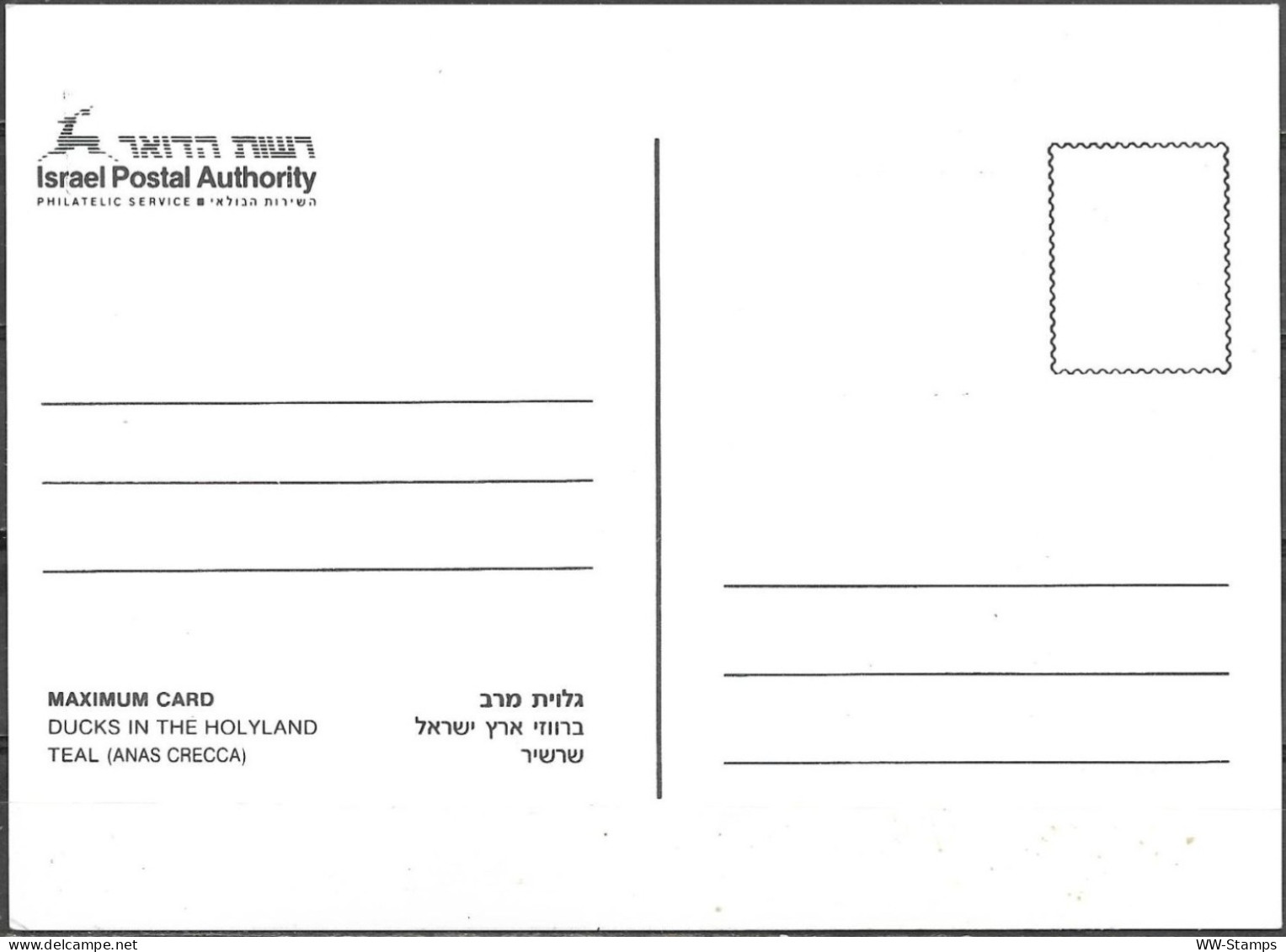 Israel 1989 Maximum Card Teal Ducks Of Israel [ILT1642] - Maximumkarten