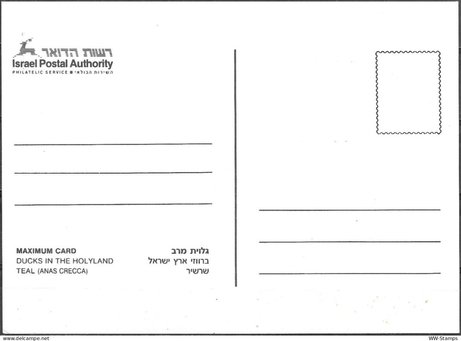 Israel 1989 Maximum Card Teal Ducks Of Israel [ILT1642] - Cartas & Documentos