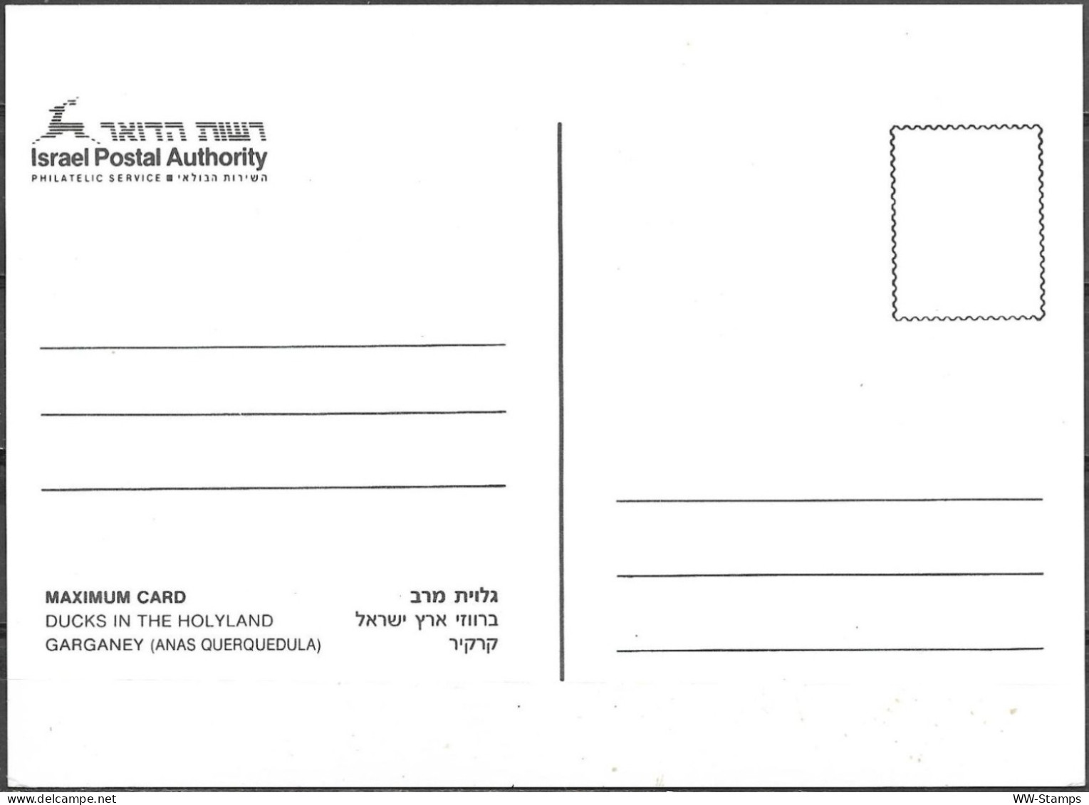 Israel 1989 Maximum Card Garganey Ducks Of Israel [ILT1643] - Tarjetas – Máxima
