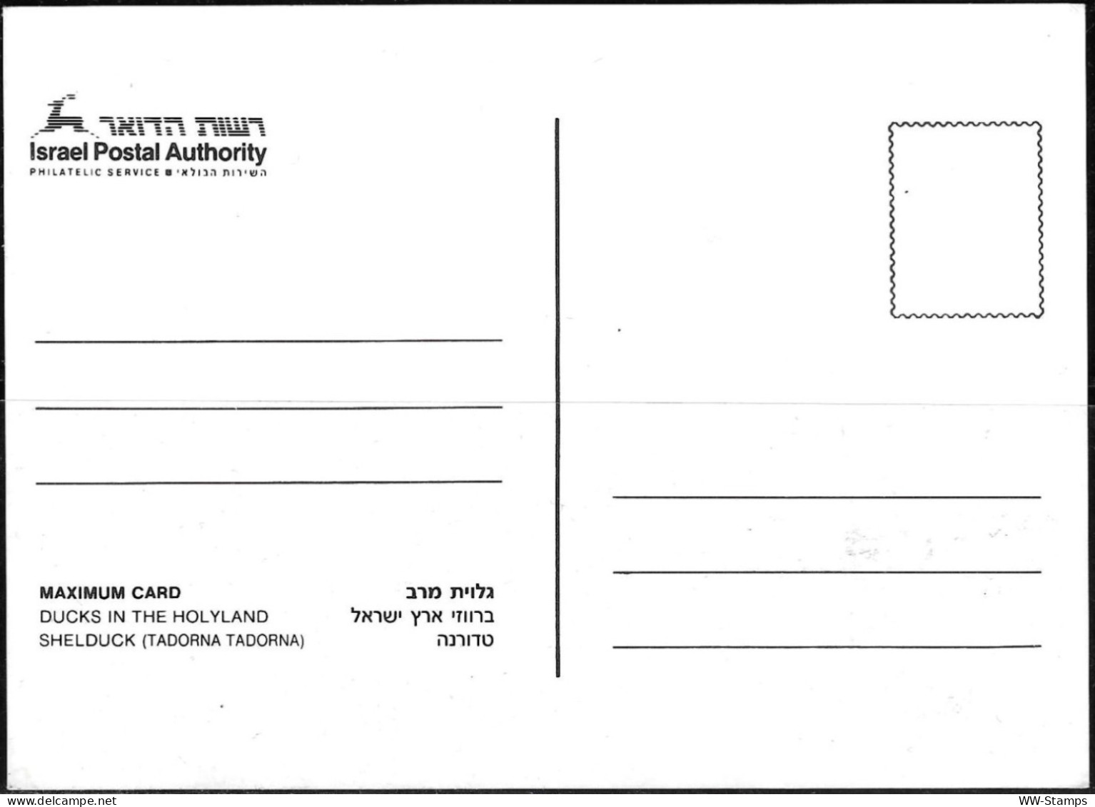 Israel 1989 Maximum Card Shelduck Ducks Of Israel [ILT1109] - Maximumkarten