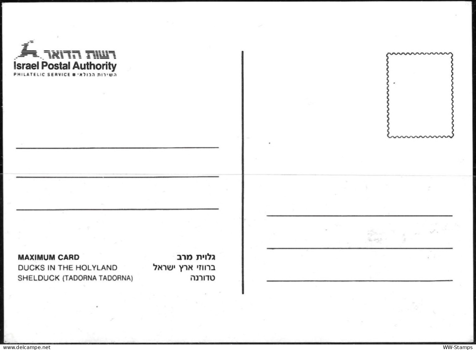 Israel 1989 Maximum Card Shelduck Ducks Of Israel [ILT1109] - Cartas & Documentos