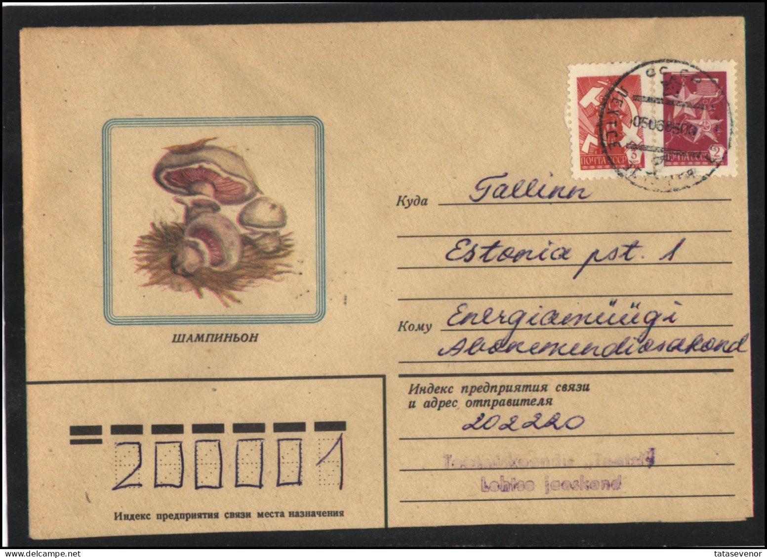 RUSSIA USSR Stationery USED ESTONIA  AMBL 1231 LEHTSE Mushrooms - Non Classés