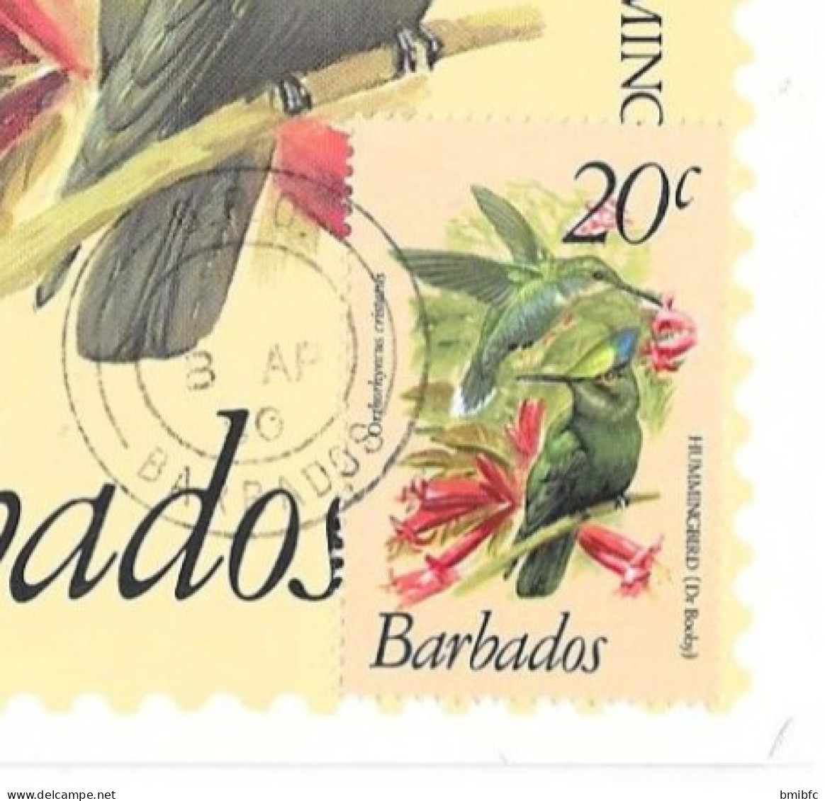 Thème Oiseaux - Barbados - Hummingbird - Colibris - Kolibries