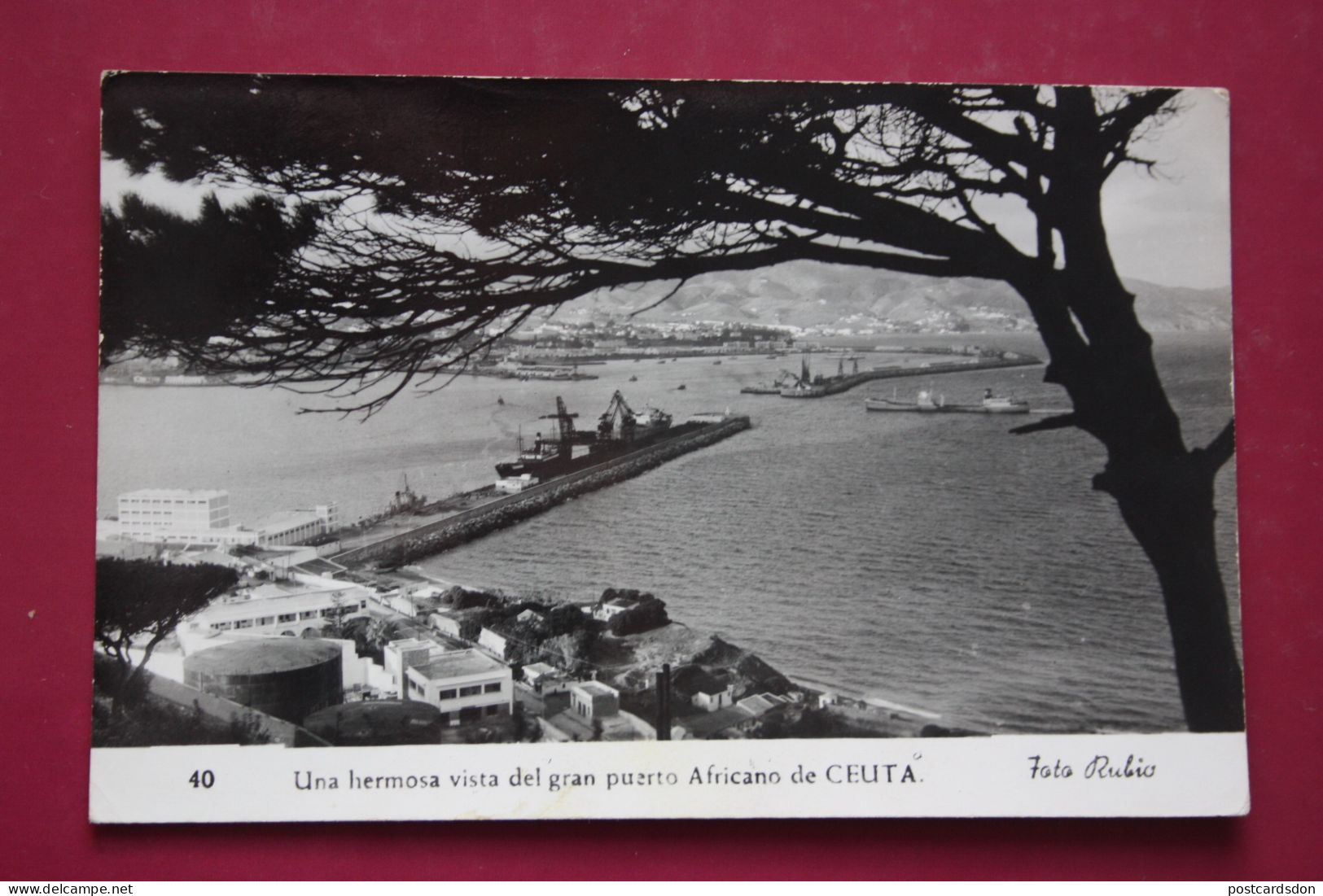 Africa. ESPAÑA, CEUTA Puerto, Port- Old Postcard Foto Rubio - Ceuta