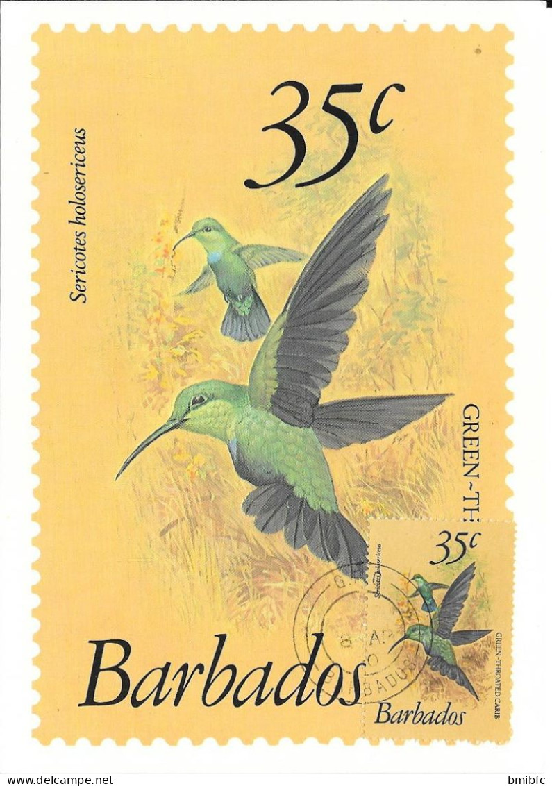 Thème Oiseaux - Barbados - Green-throated Carib - Colibri Falle-vert - Segler & Kolibris