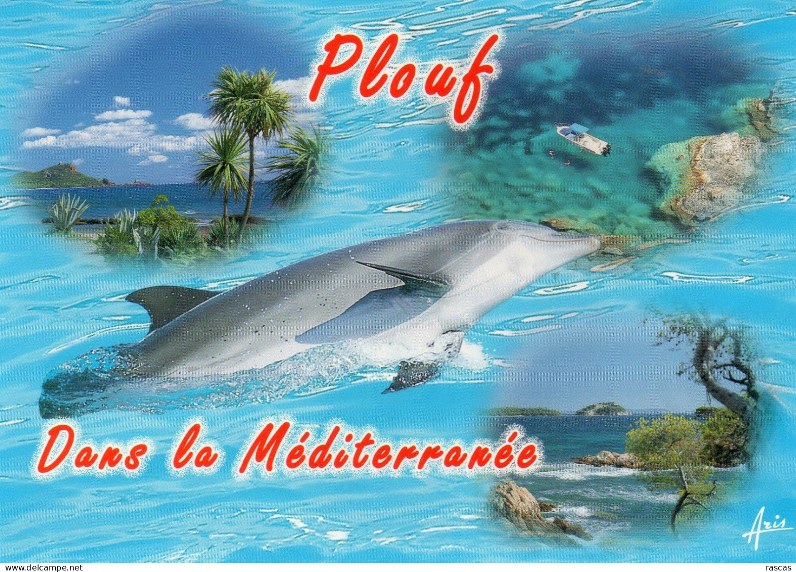 CPM - B - DAUPHIN - PLOUF DANS LA MEDITERRANEE - Delfines