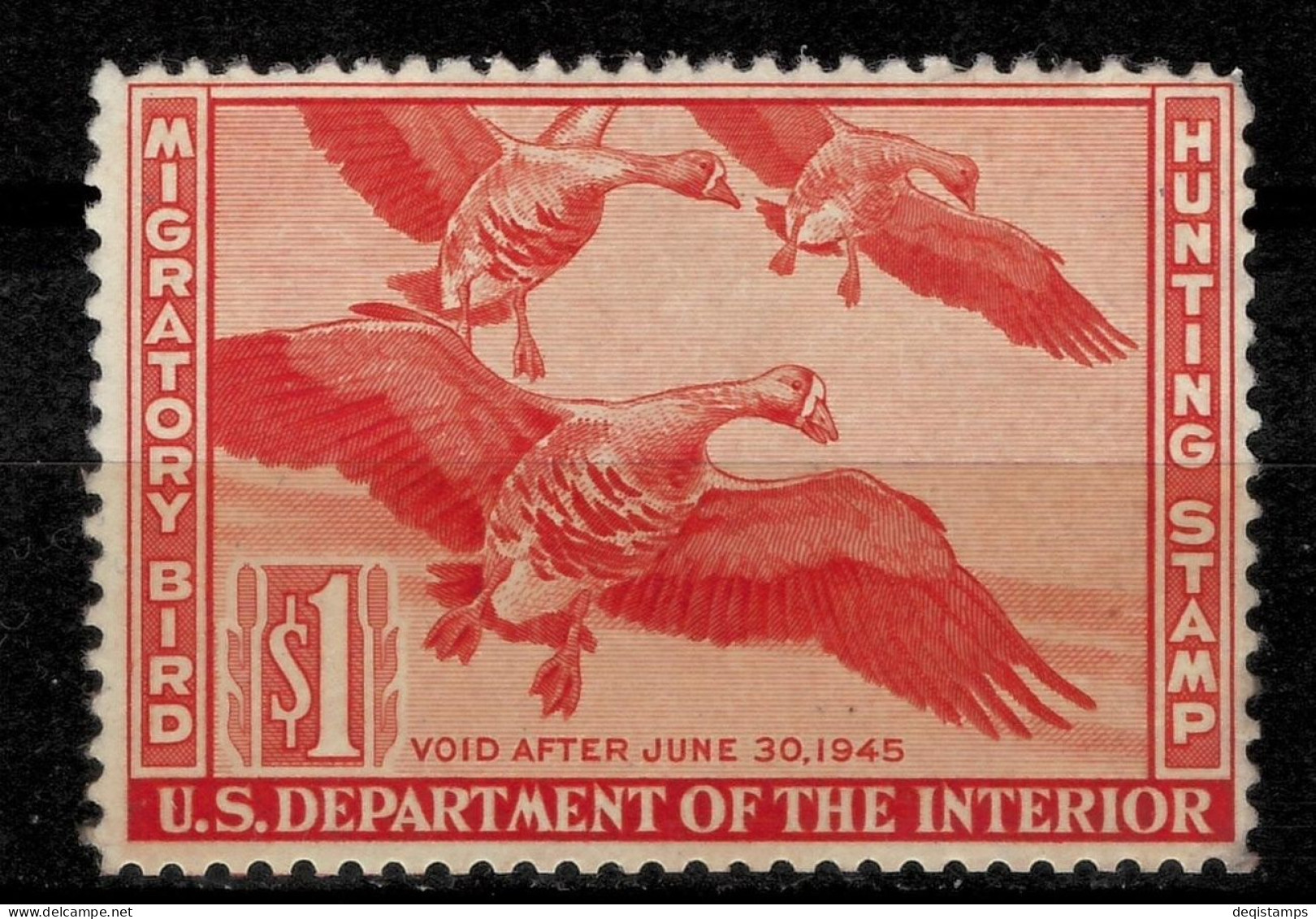 USA 1944 Duck Stamp $1  Scott# RW11  MNH ** - Ungebraucht