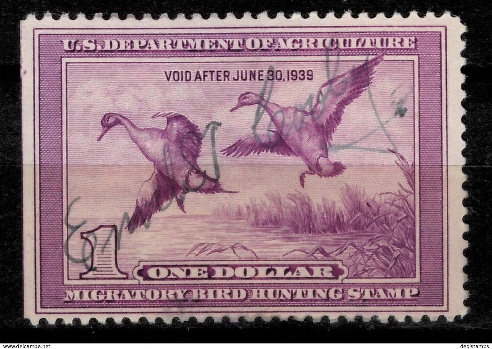 USA 1938 Duck Stamp $1  Scott# RW5  Used - Nuevos