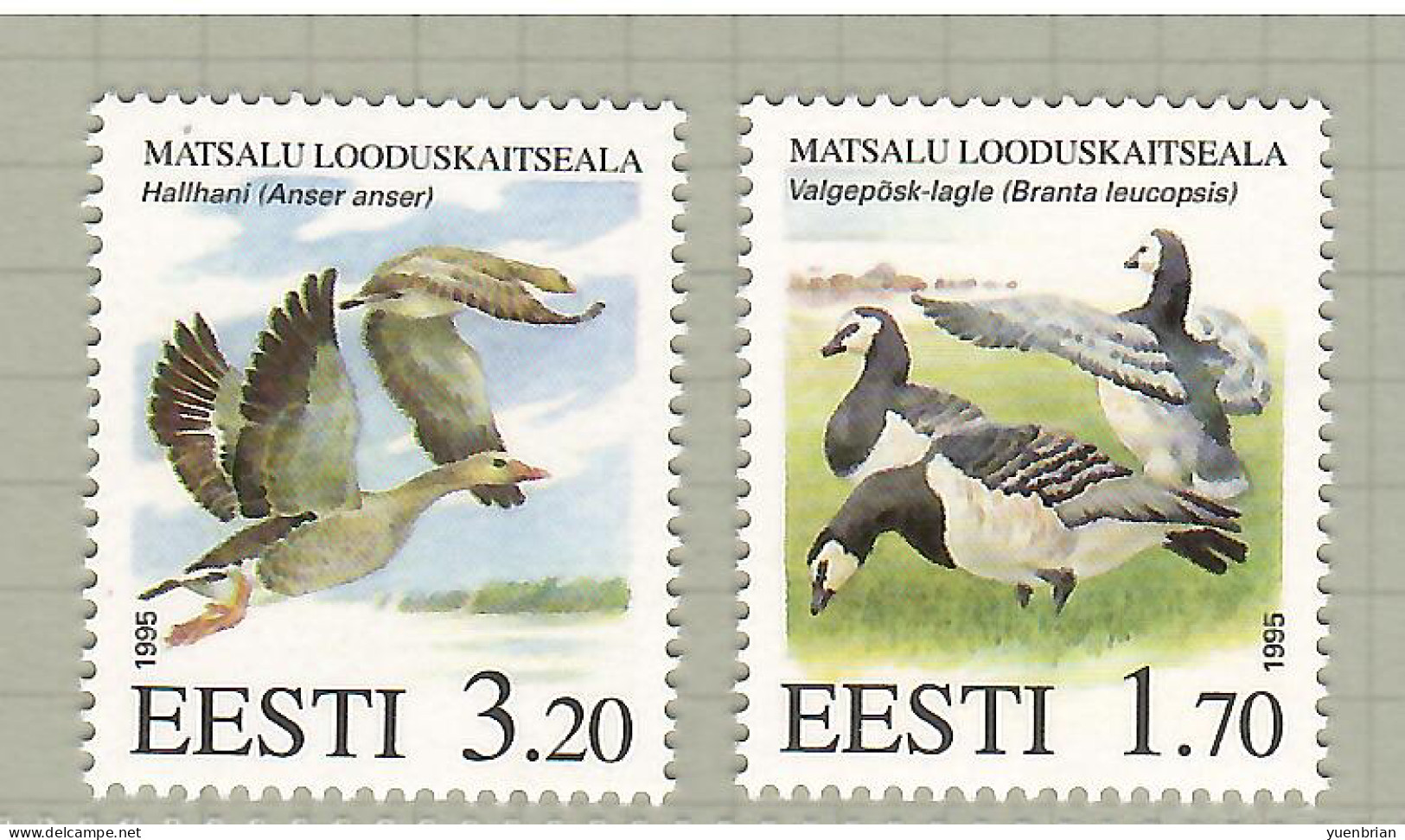 Estonia 1995, Bird, Birds, Set Of 2v, MNH** - Swans