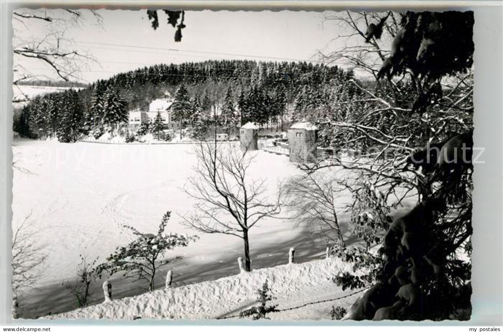 43186016 Fuerwiggetalsperre Stausee Im Winter Fuerwiggetalsperre - Meinerzhagen