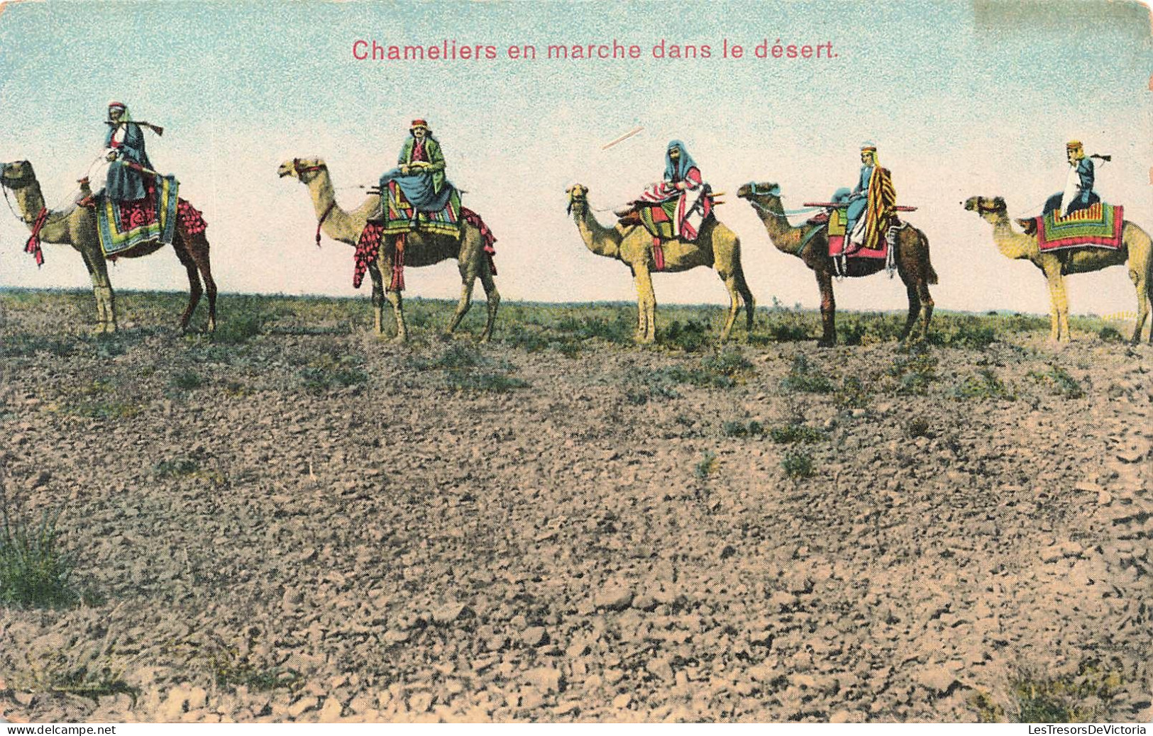 ALGERIE - Chameliers En Marche Dans Le Désert - Colorisé - Carte Postale Ancienne - Uomini