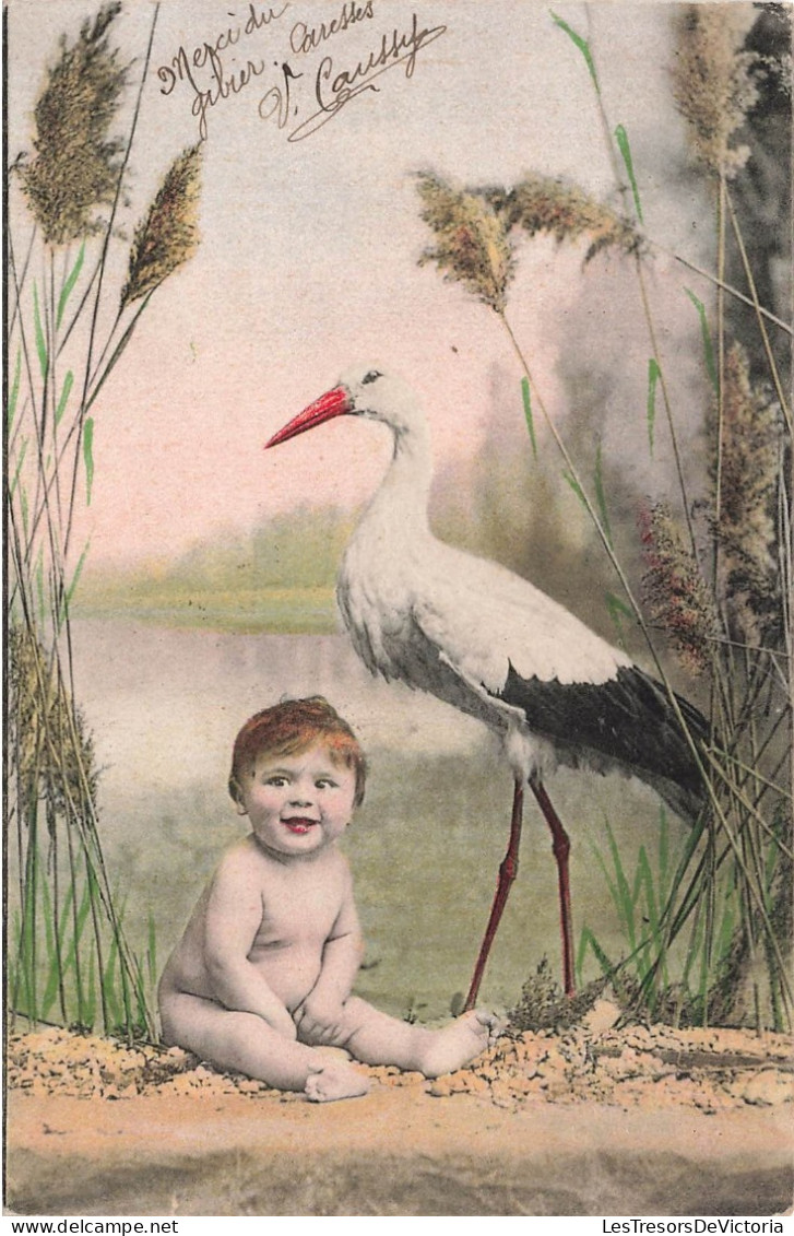 FANTAISIES - Bébé Et Cigogne - Marécage - Carte Postale Ancienne - Bébés