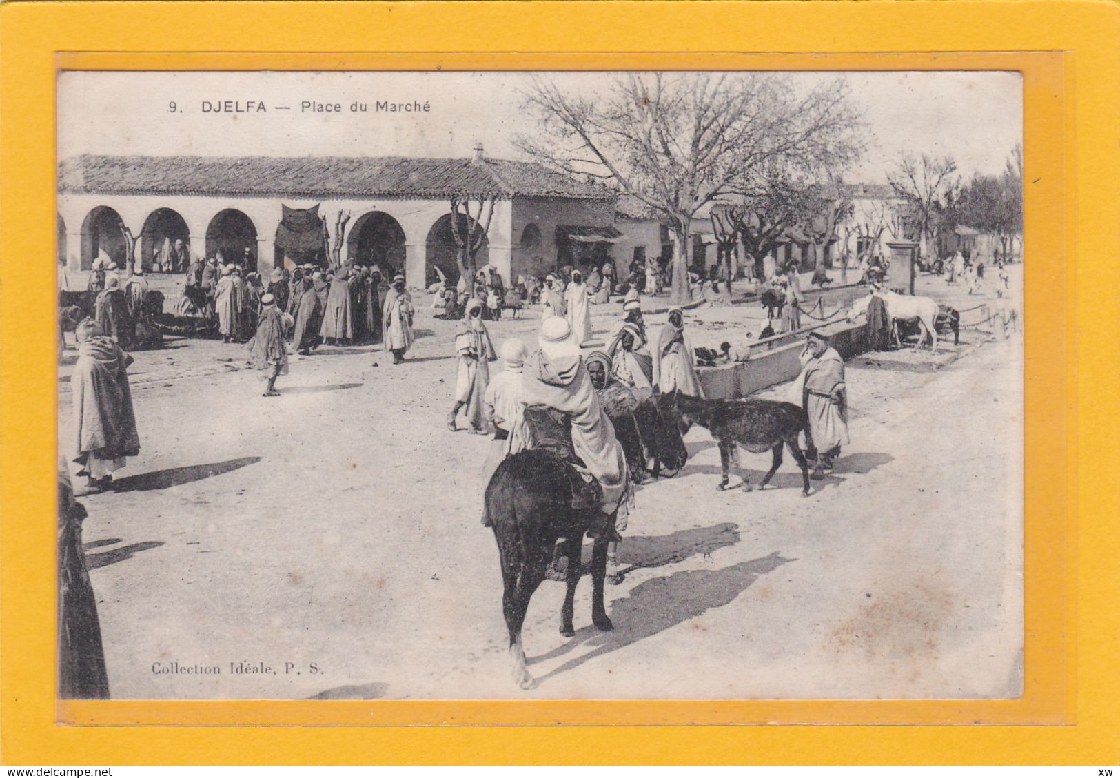 ALGERIE - DJELFA - Place Du Marché - Animation - A 8057 / 58 - Djelfa