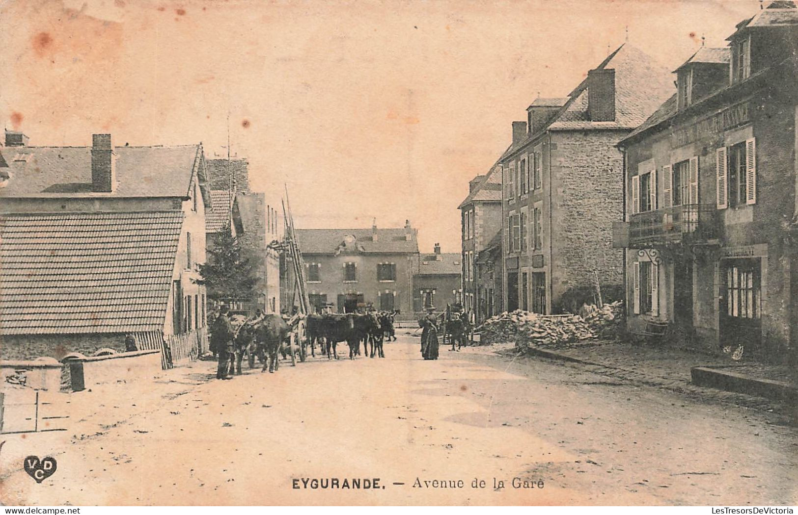 FRANCE - Eygurande - Avenue De La Gare - Carte Postale Ancienne - Eygurande