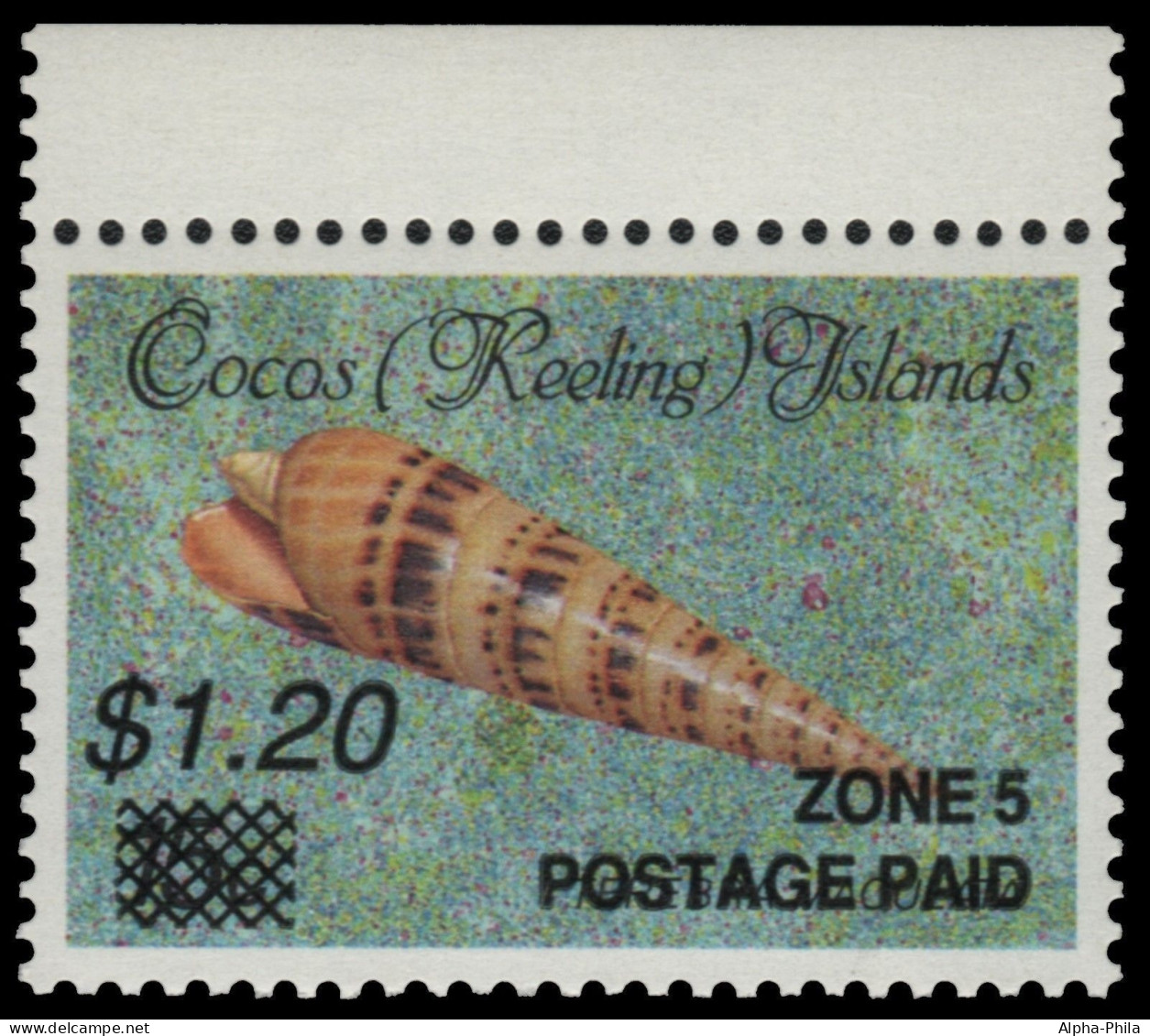 Kokos-Inseln 1991 - Mi-Nr. 244 ** - MNH - Meeresschnecken / Marine Snails (I) - Cocos (Keeling) Islands