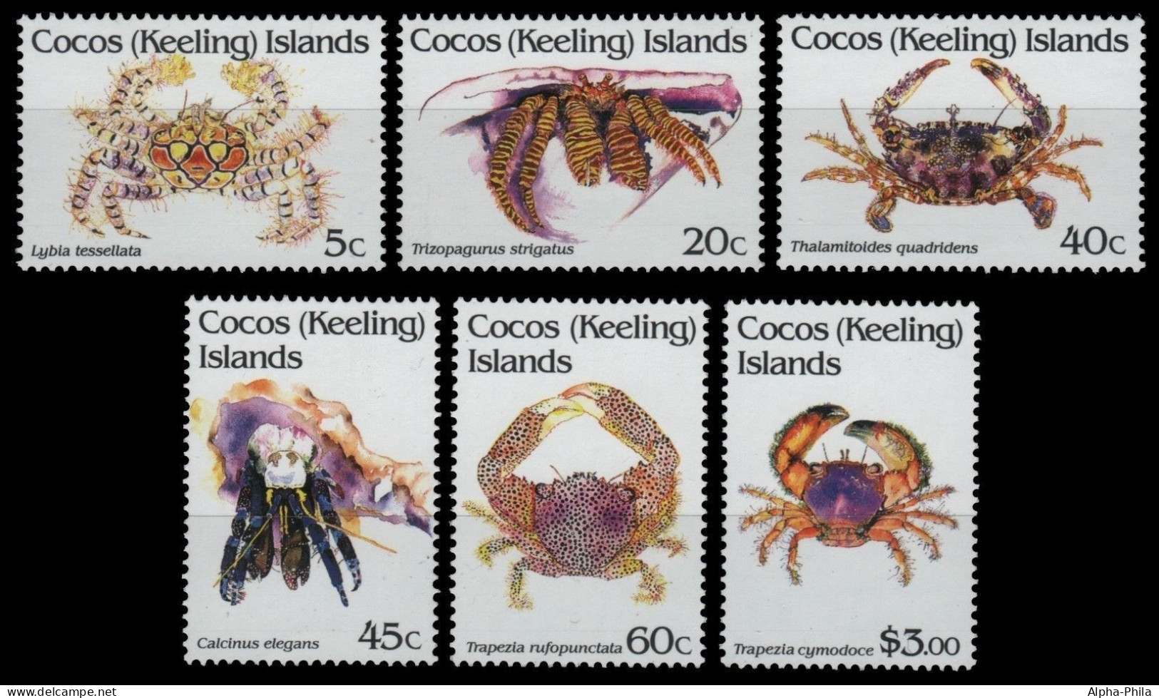Kokos-Inseln 1992 - Mi-Nr. 260-265 ** - MNH - Krabben / Crabs - Cocos (Keeling) Islands
