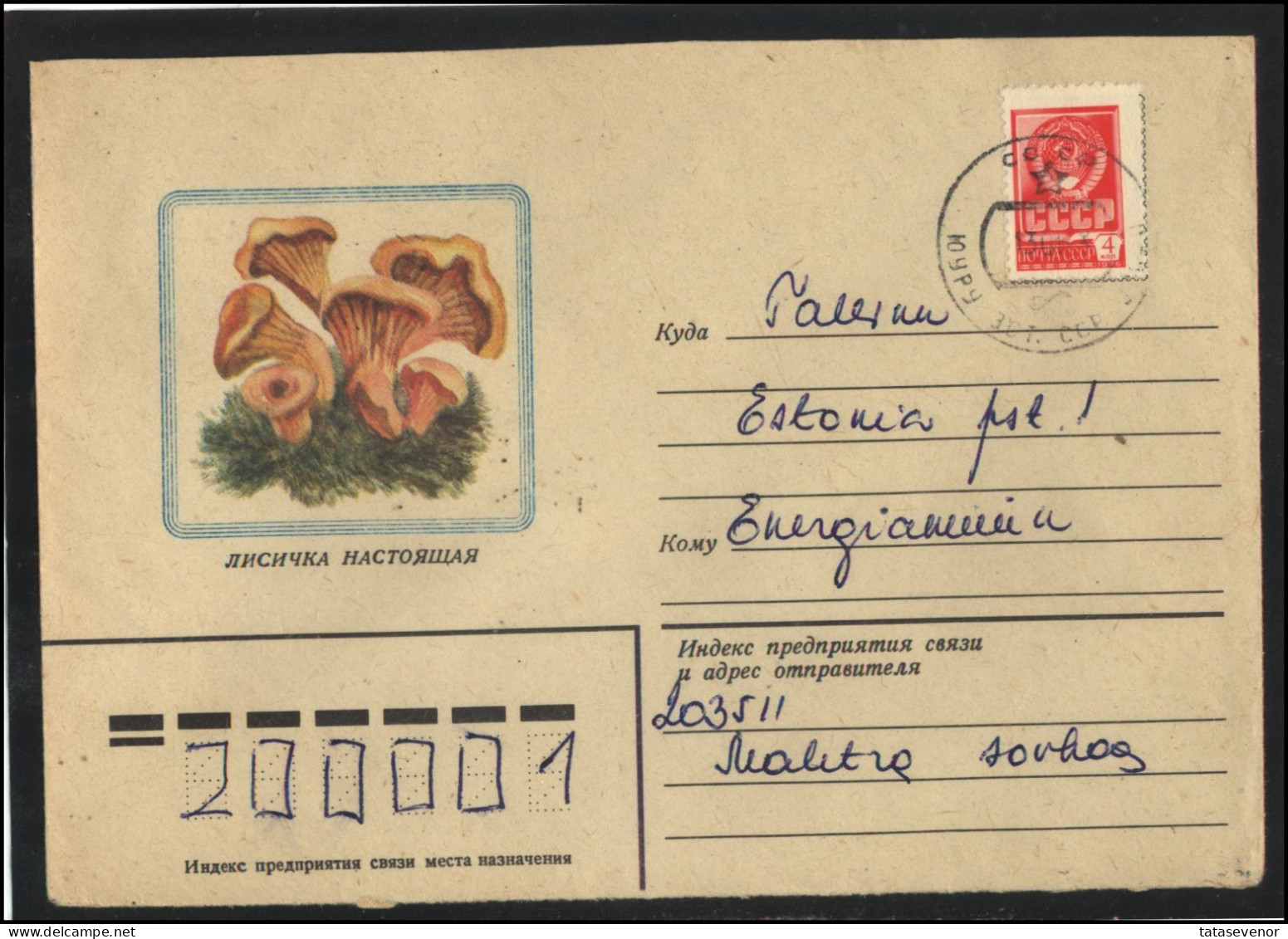 RUSSIA USSR Stationery USED ESTONIA  AMBL 1236 JUURU Mushrooms - Non Classés