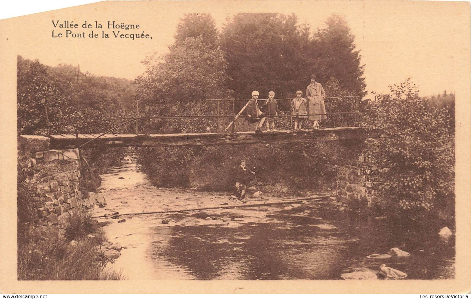 BELGIQUE - Hoëgne - Vallée De La Hoëgne - Le Pont De La Vecquée - Carte Postale Ancienne - Andere & Zonder Classificatie