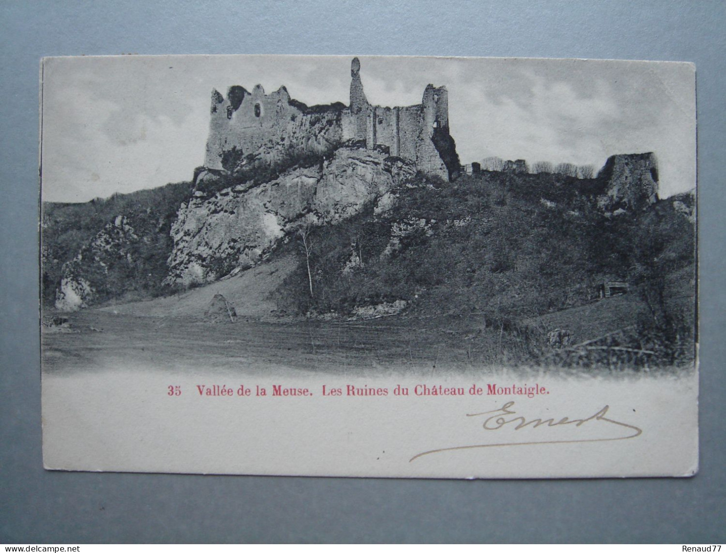 Vallée De La Meuse. Les Ruines Du Château De Montaigle - Onhaye