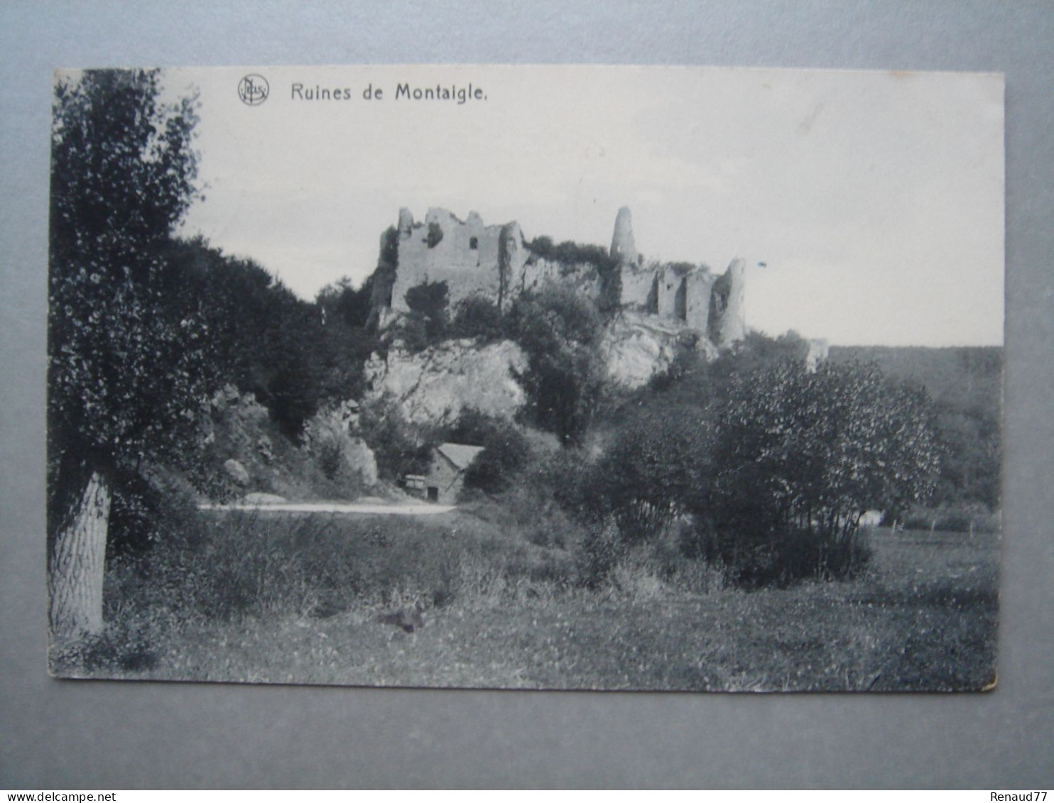 Ruines De Montaigle - Onhaye