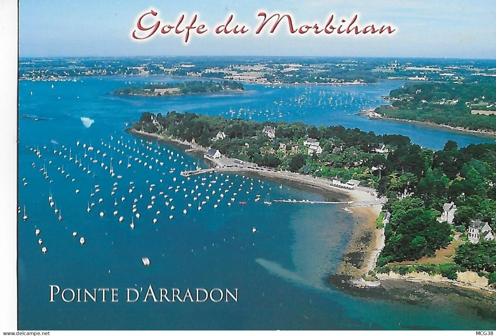 56  -  POINTE  D ' ARRADON  -  GOLFE  Du  MORBIHAN - Arradon