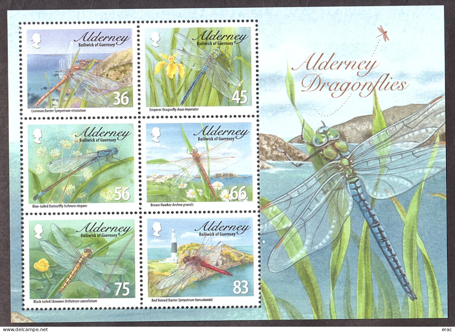 Aurigny - Alderney - 2010 - BF 24 - Neuf ** - Insectes - Libellules - Dragonflies - Alderney