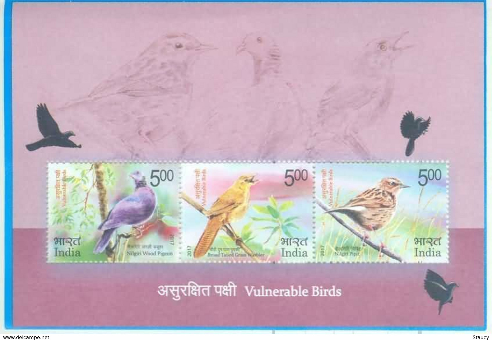 India 2017 Vulnerable Birds Endangered Animal Species Pigeon MINIATURE SHEET MS MNH - Sparrows