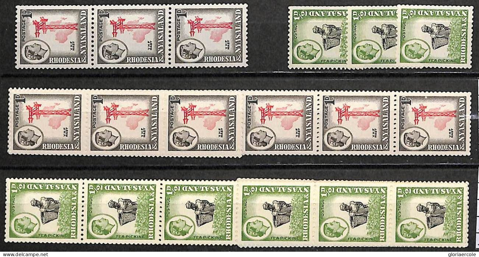 ZA0032 - RHODESIA NYASALAND -  STAMP LOT - SG #  19a*21 + 18a*21  -  MINT MNH - Rodesia & Nyasaland (1954-1963)