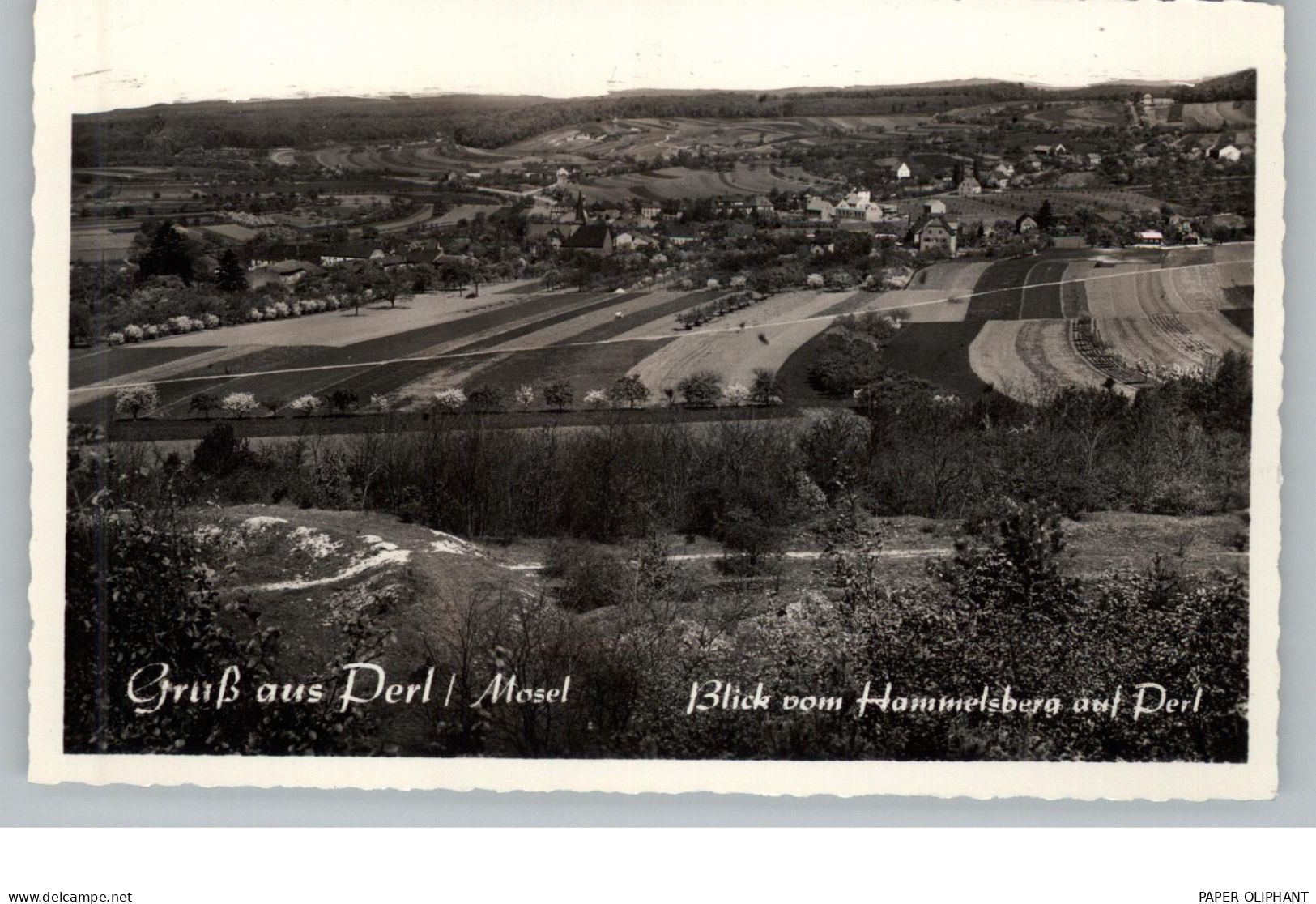 6643 PERL, Blick Vom Hammelsberg - Perl