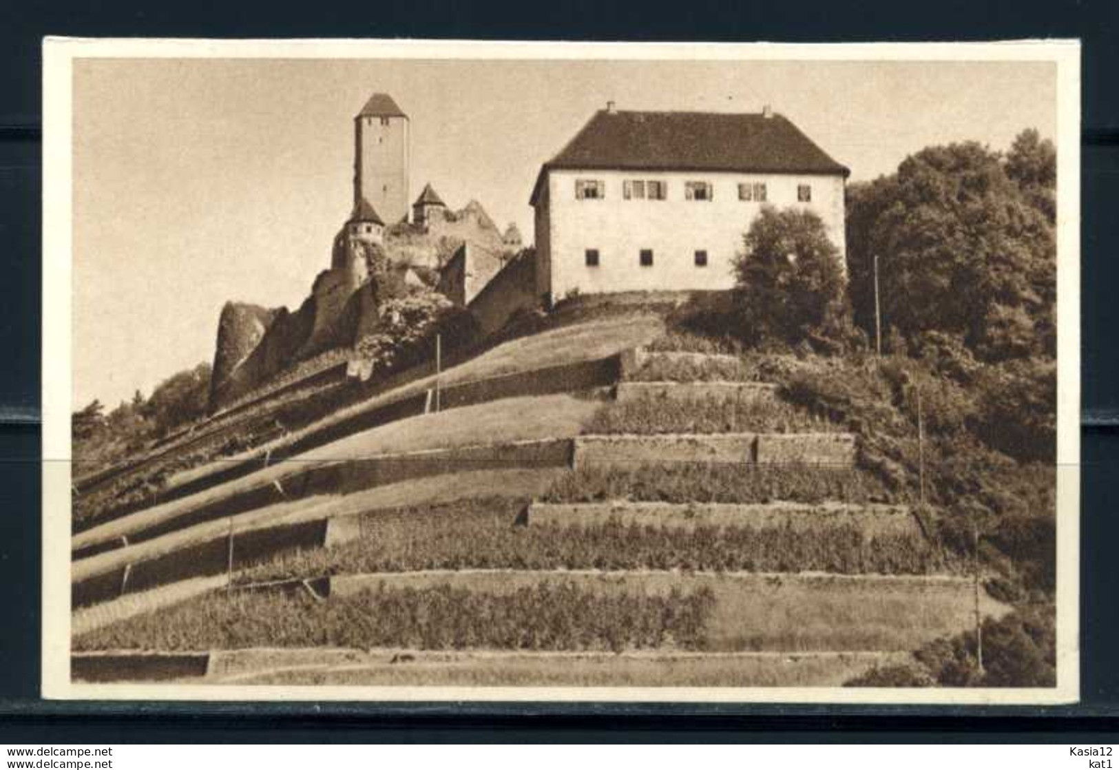 K06103)Ansichtskarte: Burg Hornberg - Hornberg