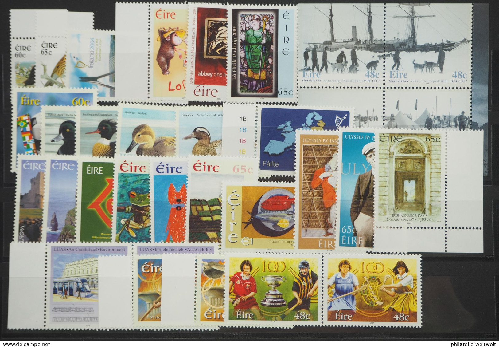 2004 Irland; In Den HN Kompletter Jg Mit MH, Postfrisch/MNH, ME 218,- - Autres & Non Classés