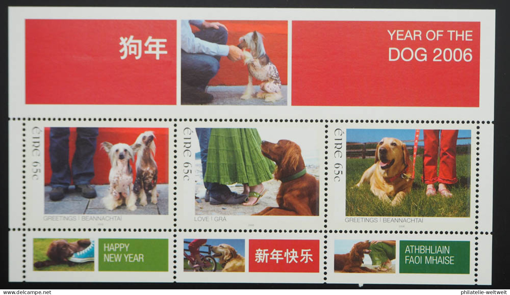 2006 Irland; Block Chinesisches Neujahr, Postfrisch/MNH, Bl. 57 - Autres & Non Classés