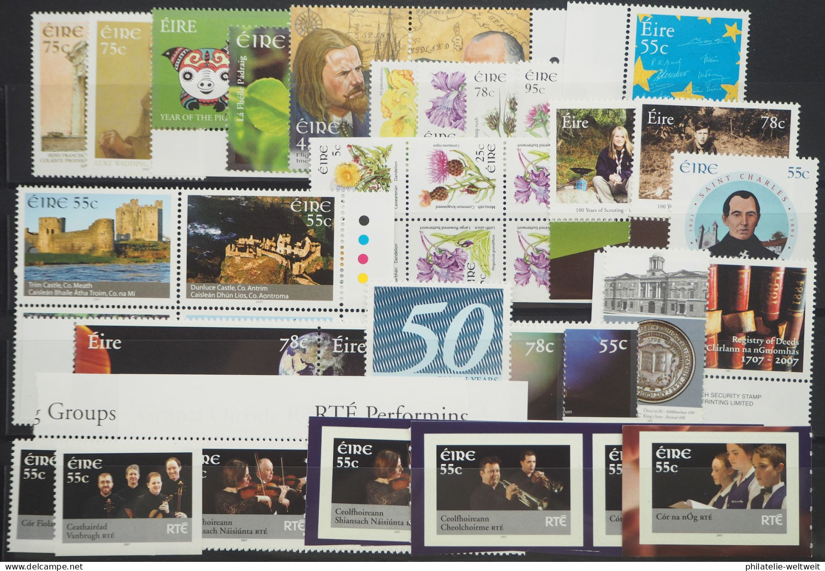 2007 Irland; In Den HN Kompletter Jg. Mit MH, Postfrisch/MNH, ME 232,- - Sonstige & Ohne Zuordnung