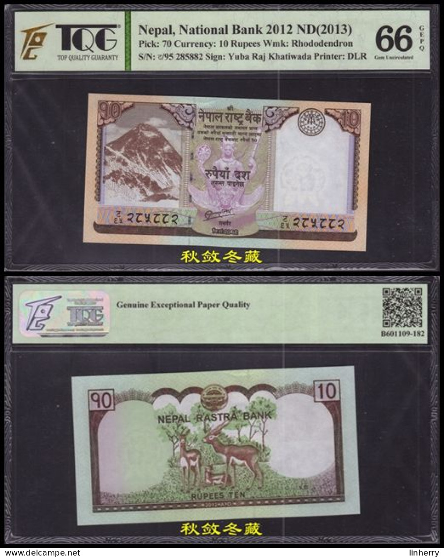 Nepal 10 Rupees, (2012), Paper, TQG66 - Népal