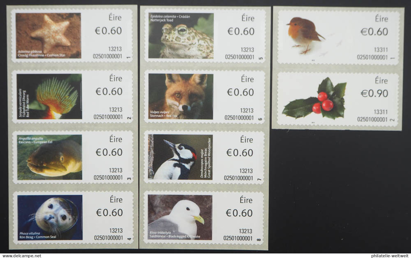 2013 Irland; Automatenmarken Des Jahrgangs Kpl., Postfrisch/MNH, MiNr. 43/52 - Autres & Non Classés