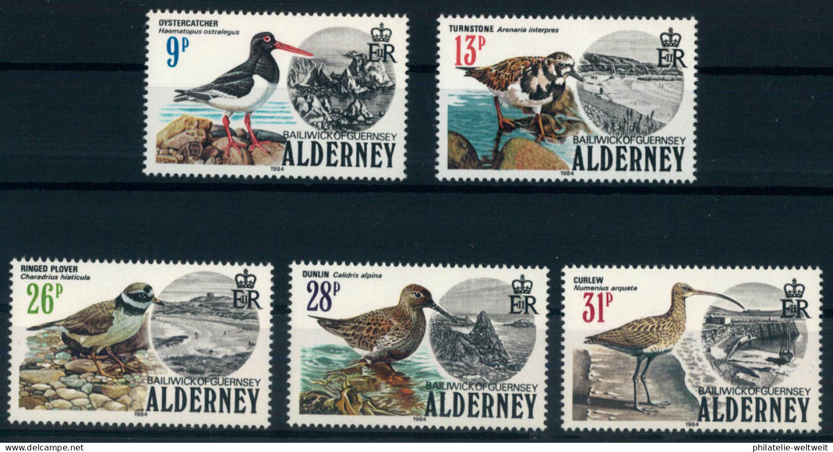 Alderney; Seevögel 1984 Kpl. **  (25,-) - Alderney