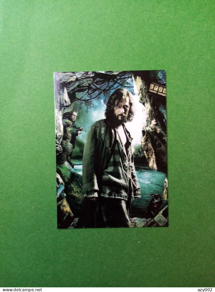 Harry Potter - La Magie Des Films - 2019  Carte 9/50 Panini - Harry Potter