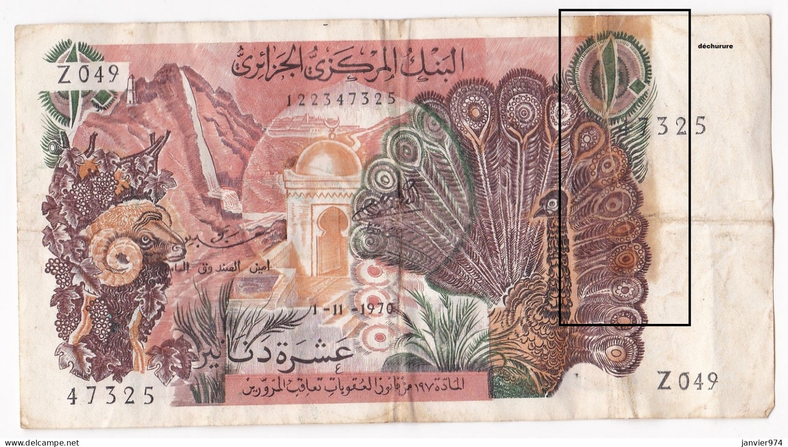 Algerie. 10 Dinars 1.11.1970 , Alphabet Z049 N° 47325 . Billet Ayant Circulé Et Déchiré  - Argelia